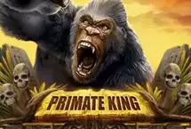 Primate King-Red Tiger